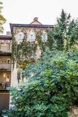 The facade of the building in Pecs