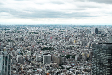 Fototapeta premium grey Tokyo panorama