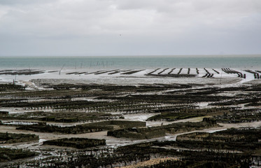 parc &agrave; huitres