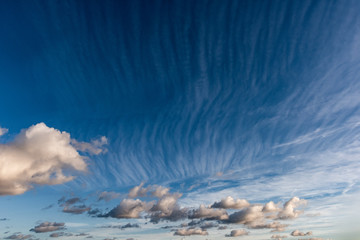Cirrus (horse's tails) clouds against a blue sky