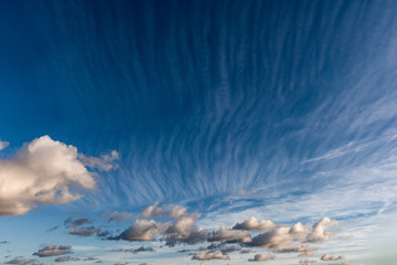 Fototapeta premium Cirrus (horse's tails) clouds against a blue sky