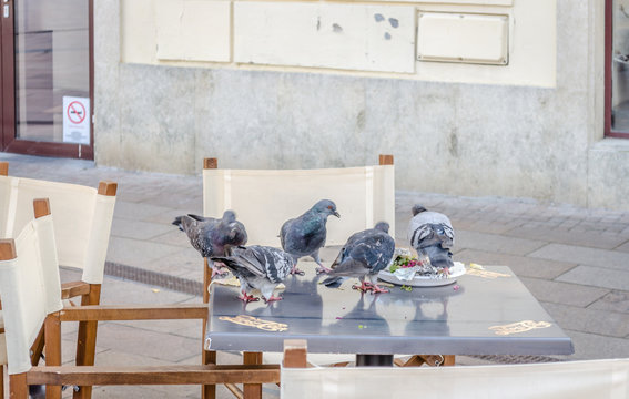 Pigeons on the table restaurants in Pecs