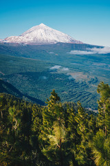 Teide mountain, Tenerife. Amazing mountain in the middle of the island. Best tourist attraction of Canary Islands.