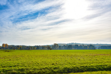 Ackerfeld mit Gemüse	im Herbst