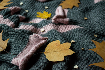 Women's sweater decorated with autumn leaves. Sweater texture. Cold season.