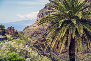 Fototapeta na wymiar Masca, Tenerife. Amazing mountain village also known as European Machu Picchu.