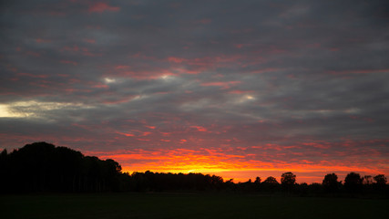 Sunset over Maasduinen National Park. Limburg, Netherlands
