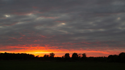 Sunset over Maasduinen National Park. Limburg, Netherlands