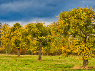 Naklejka premium Landschaftsbilder im Herbst 