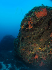 Fototapeta na wymiar Scuba Diving Malta - Qammiegh Reef