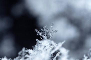 crystals of snow, ice