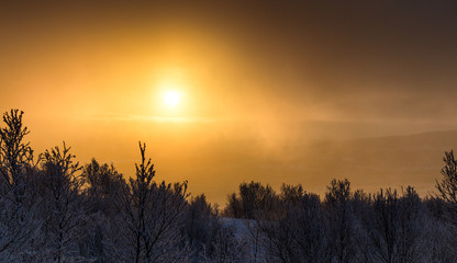 The sunrise after the Polar Night.