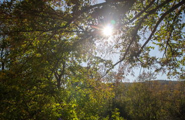Herbst in der Sächsische Schweiz