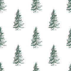 Seamless fir vector pattern