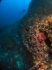 Scuba Diving Malta --  Ras ir-Raheb point