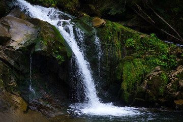 Fototapeta premium Piękny górski wodospad wśród skał i lasu iglastego. Ukraina, Karpaty.