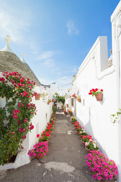 Alberobello, Apulia - Streets full of flowers within the traditional buildings