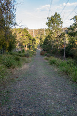 Landscape in Melbourne
