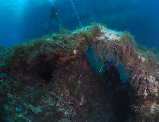 Scuba Diving Malta - Ras in-Newwiela dive site, Gozo