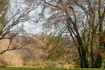 Obraz premium autumn scenery in park