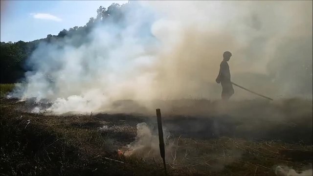 Mae Hong Son, Northern Thailand, Southeast Asia, 10/11/2018. Local Thai rice farmer burning off the land after harvesting the seasons rice crop and preparing new fields for the garlic harvest