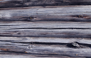 The old wood texture with natural patterns. Inside the tree background. Old grungy and weathered grey wooden wall planks texture background