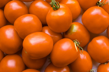 background of red tomatoes. a lot of red tomatoes background. Red tomatoes background.
