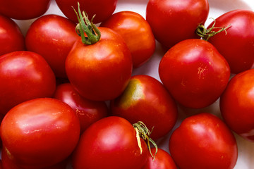 dark red ground tomatoes. red tomatoes on a white plastic tray. Tray with fresh raw organic tomatoes on white background. vegetables just collected from the garden.
