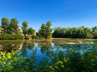 beautiful lake and green trees in the village.