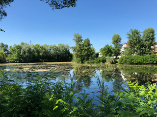beautiful lake and green trees in the village.