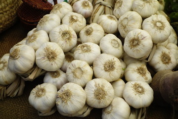 Ajos secos de la huerta Valenciana de otoño