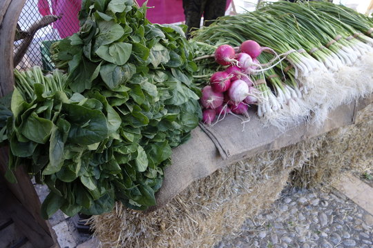 Huerta Valenciana de oto&ntilde;o
