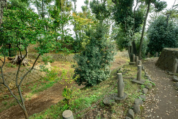 世田谷区立世田谷城址公園