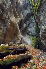 Obraz premium Canyon landscape in the fall