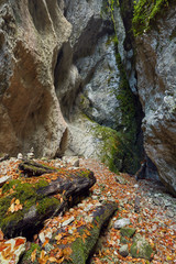 Canyon landscape in the fall