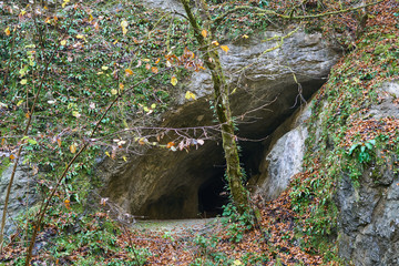 Entrance of a cave