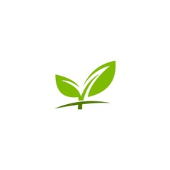 Eco icon green leaf logo vector template