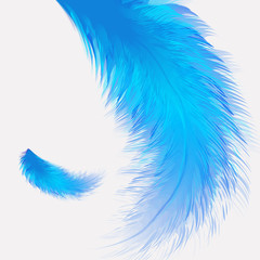 Beautiful colorful small and big realistic bird feathers isolated on white background. Vector illustration.