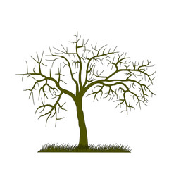 tree silhouette (Vector illustration).