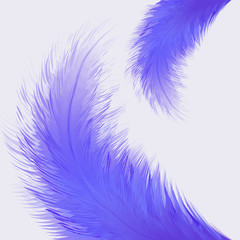 Fototapeta premium Beautiful colorful small and big realistic bird feathers isolated on white background. Vector illustration.