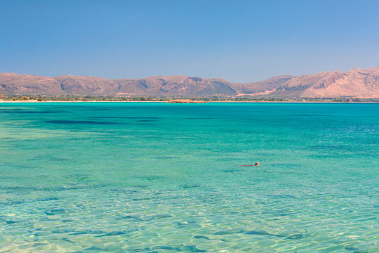 A specimen of Caretta Caretta turtle in the crystal water near Elafonissos coasts, Elafonissos, Laconia region, Peloponnese, Greece, Europe