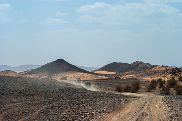 landscape in the desert