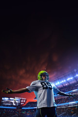 Fototapeta na wymiar American football player celebrate tocuhdown on stadium. Sport wallpaper or advertising