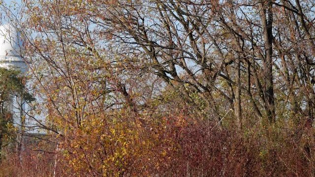 RRP 117 Radar Tower Behind Trees In Public City Park Tempelhofer Feld In Berlin, Germany, Pan Shot