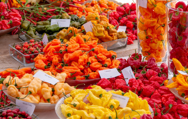 various chili cultivars