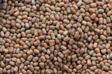 Fototapeta premium Background of beans