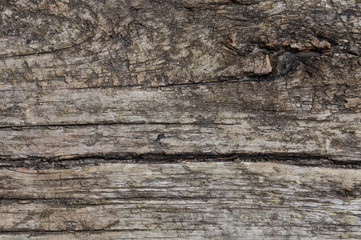 old oak wood texture board background in gray