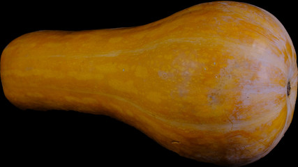 Pumpkin vegetable food halloween decoration