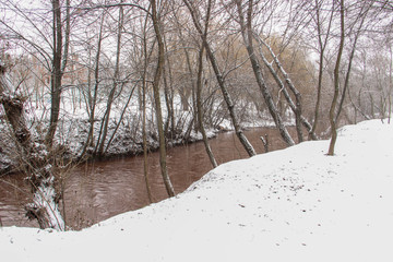 The snow-covered park is very beautiful with trees and bushes covered in snow.