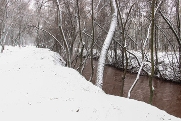 The snow-covered park is very beautiful with trees and bushes covered in snow.